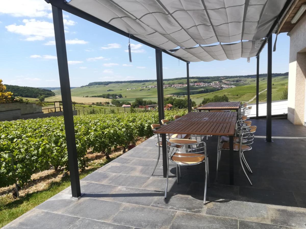 Villa Coeur De Champagne *